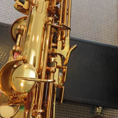 CANNONBALL SCEPTYR ALTO SAXOPHONE-STUNNING -FRESH PRO OVERHAUL, MUST SEE+ 1 Yr WTY image 21