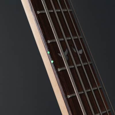 Lindo PDB-5 V2 Purple 5-String Electric Bass Guitar & HARD CASE | Dove Inlays | Unique Graphic Art Finish | Luminlays | High Gloss | Sycamore Body | Laurel Fretboard | 3-Piece Neck image 7