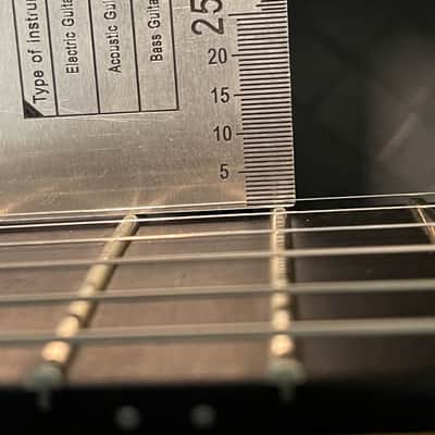 Alembic "Little Darling" Custom ILG6 2006 Natural image 10