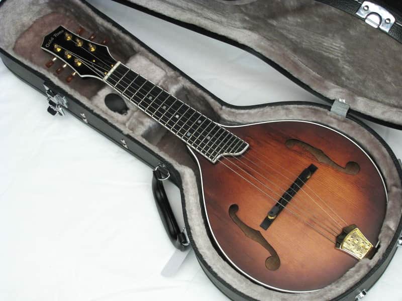 GOLD TONE GM-6+ GM6+ LEFT HANDED acoustic electric MANDOLIN w/ CASE - LEFTY image 1