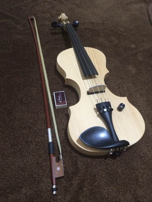 Violin + leigh + 1/2 electric + handmade image 1
