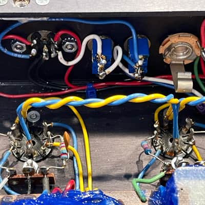 Dumble Overdrive Special with travel case image 21