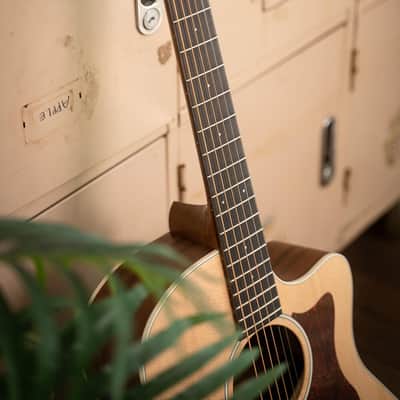 Cort GA1EOP Grand Regal Series Grand Auditorium Body Solid Spruce Top Mahogany Neck 6-String Acoustic-Electric Guitar image 9