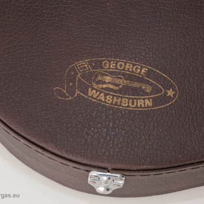 Washburn Wings Series, Eagle, Falcon, original case, OHSC Vintage image 10