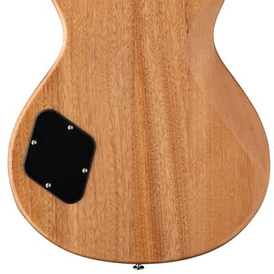 PRS SE McCarty 594 Singlecut - turquoise image 3