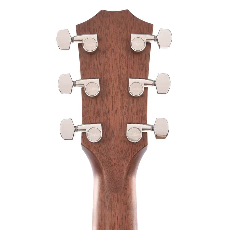 Taylor 317e with V-Class Bracing image 7