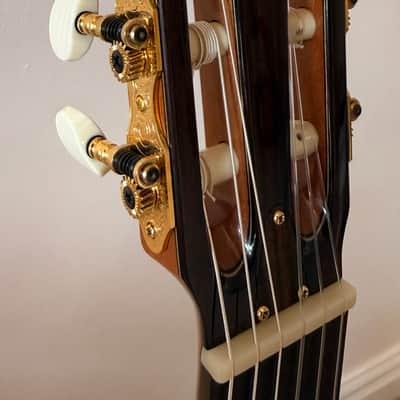 Cordoba Stage Nylon String Guitar image 3