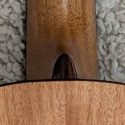 Luna Uke Dolphin Concert Spruce Top Ukulele with gig bag - Demo image 8