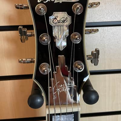 D'Angelico Excel Giacomo Turra Signature Bedford SH Peppermint Electric Guitar Gigbag image 8