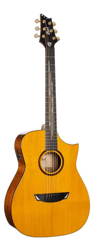 Cort LUXE II Frank Gambale Signature Natural Glossy w/Case (B Stock) image 1
