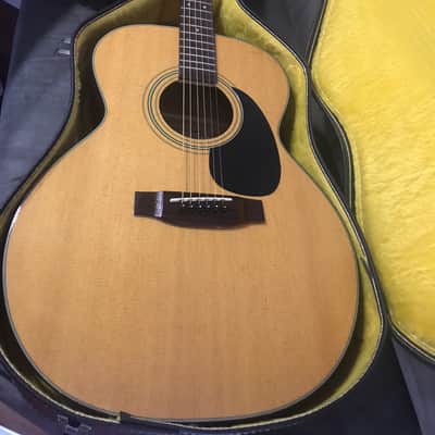 Takamine EG 230 A/E guitar with hardcase Dreadnaught image 3