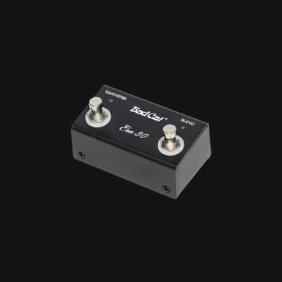 Bad Cat Era 30 Mark Sampson's 30-watts Head Amp - Gray image 5