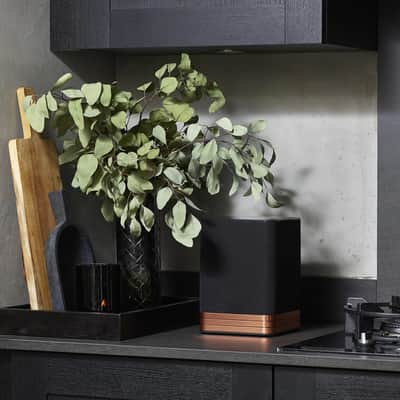 ELECTROCOMPANIET TANA SL2 - Wireless Speaker and Streamer - NEW! image 8