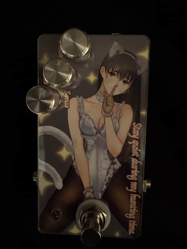 Sound Project "SIVA" / Cat Footstep Noise Gate『Stay quiet during my hunting time.』Front/White image 1