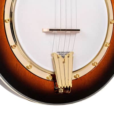 Gold Tone EBM-5 Solid Body Maple Top & Neck F-Style 5-String Electric Banjo w/Hard Case image 6