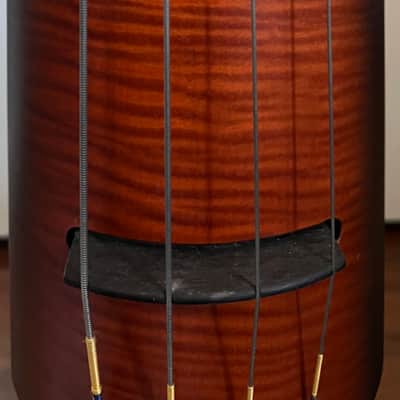 NS Designs NXT4 bass 2000's - passive image 4