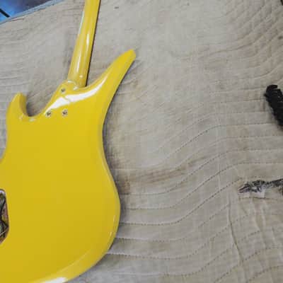Electric The wasp 2023 - Clear coat image 4