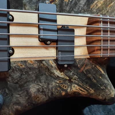 2018 Spector USA NS-5XL 5 String Electric Bass Mastergrade Buckeye Burl Top image 6