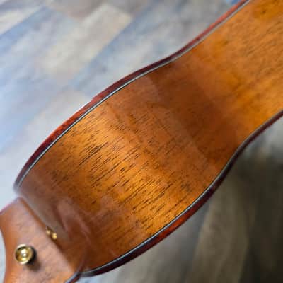 Breedlove Custom Shop "Trip Cascade" Concertina image 24