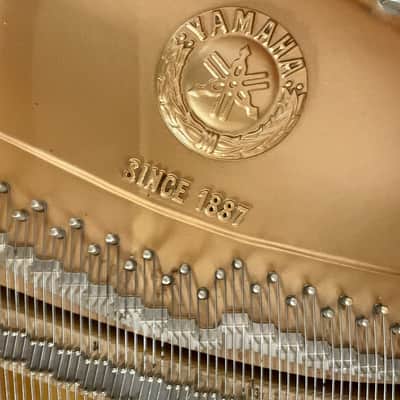 Yamaha DISKLAVIER MEZZA CODA NERO Bild 8