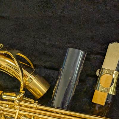 Alpine Woodwinds AAS143 2010's Alto Saxophone with Case - Gold image 20