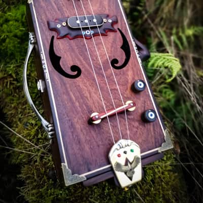 The Indian Eagle II - Rosewood custom cigarbox guitar image 10