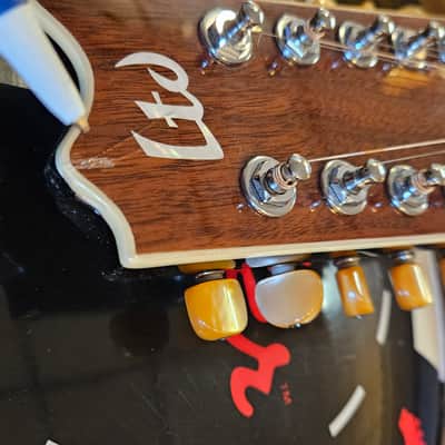 ESP LTD TL-12 Thinline Acoustic-Electric Guitar, 12-String image 19