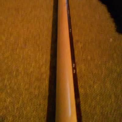 Epiphone Reverse T-Bird Neck maple/RW image 12