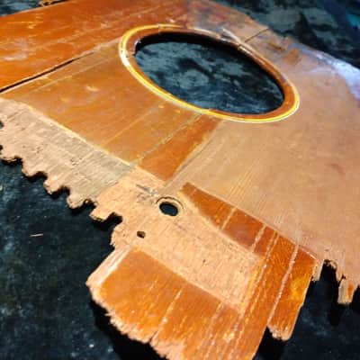 Gibson 1961 Gibson J50 Spruce Top Parts Repair Restore Art Project 1961 image 4