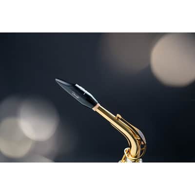 Selmer Alto-Sax Density image 3