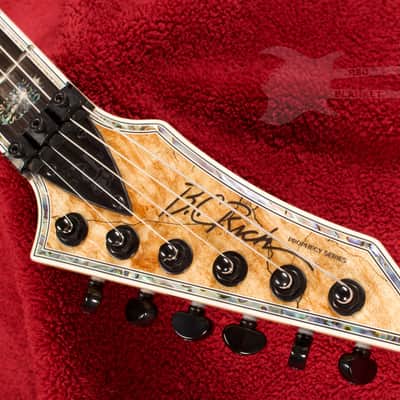 B.C. Rich Shredzilla Prophecy Archtop with Floyd Rose Spalted Maple image 5