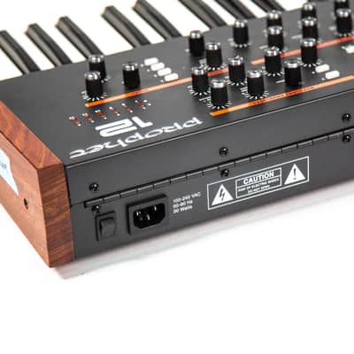 Dave Smith Instruments Prophet 12 Owned by Martin Gore of Depeche Mode image 8