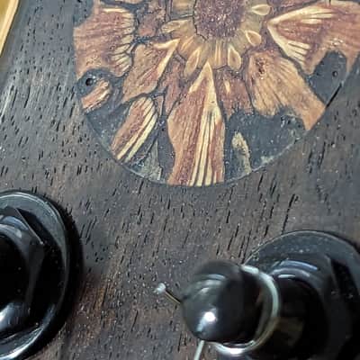Ray Vincent Shell back guitar 2023 - Shellac and oil image 5