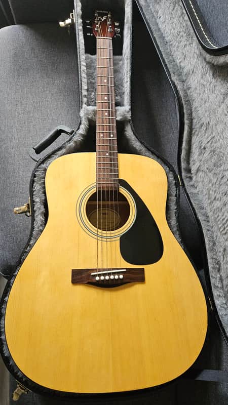 Yamaha F-310