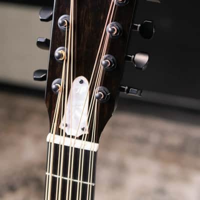 Immagine Taylor 250ce Plus BLK Bajo Quinto Acoustic/Electric Guitar - Black with Aerocase - 5
