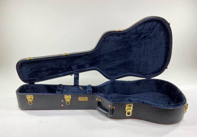 One-Of-A-Kind Harptone® Traditional Martin Size Dreadnought Guitar Case (Made In USA!) image 1