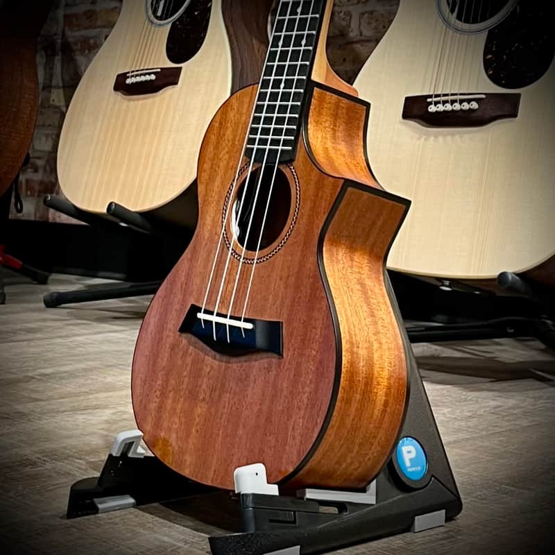 Twisted Wood EM600C with Pickup image 1