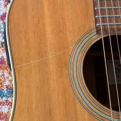 Takamine Dragon Series (ED-21C N) image 7