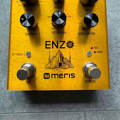 Meris Enzo Guitar Synthesizer Pedal 2018 - Gold image 1