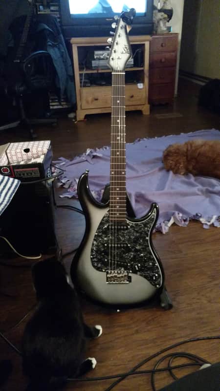 Peavey Raptor Custom SSS Electric Guitar Silverburst w/ Rosewood Fretboard image 1