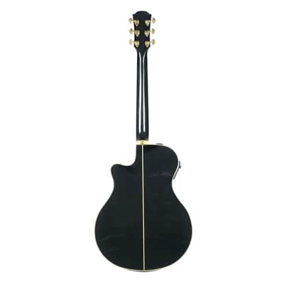 Yamaha APX-9C Owned by Deryck Whibley Of Sum 41 image 7