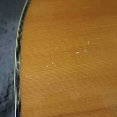 TF Morris W-50 - Natural Japan Acoustic image 7