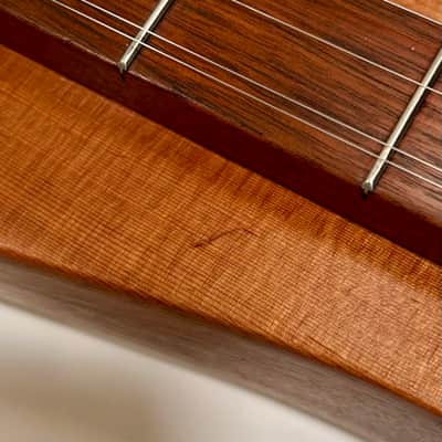 Peter Sean Cooney Hourglass Dulcimer #229 1979 image 12
