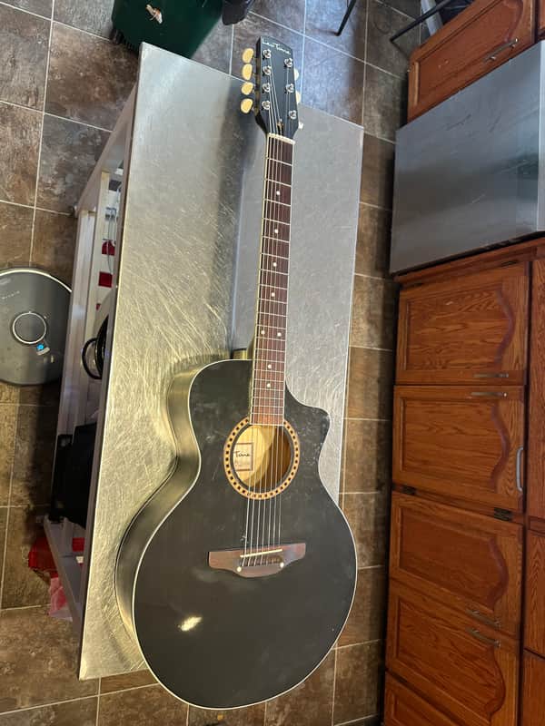 Leotone 7 string Acoustic Guitar image 1