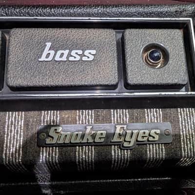 Kasino by Kustom Snake Eyes 2x15 Bass Rig 1970s image 5