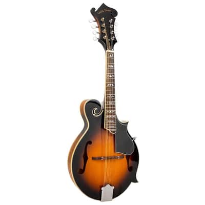 Gold Tone GM-35 F-Style Mandolin - Tobacco Sunburst image 2
