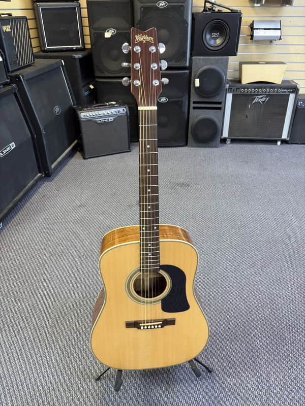 Washburn D13S 1994-1996 image 1
