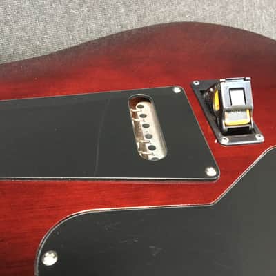 Paul Reed Smith SE Custom 24 Tobacco Burst Tiger Stripe (Jerry Garcia Mods) image 4