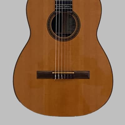 Martin N-20WN Willie Nelson "Trigger" Limited Edition Signature Model 1998 image 2