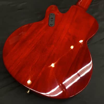Katamalazoo KN6/Sunburst【Special Price】 image 6